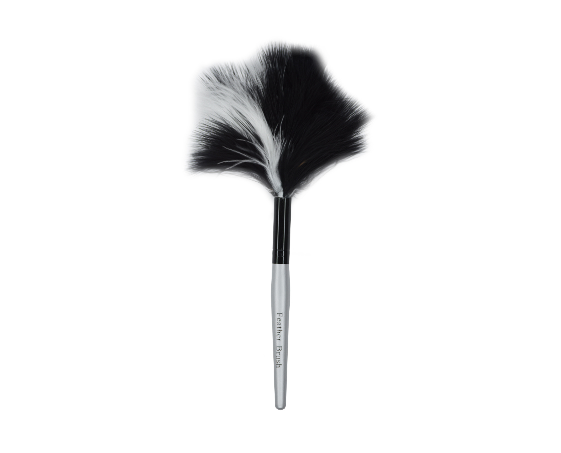 FEATHER 1 PAG ONLINE